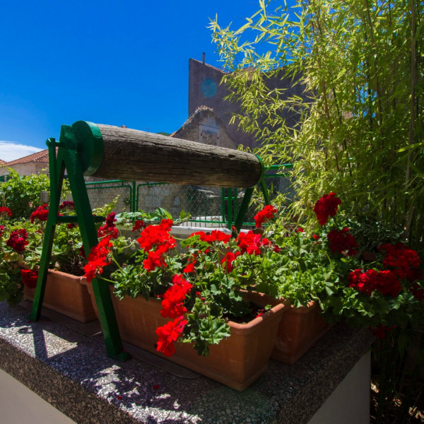 Apartmani Konta, Apartmani Konta Vodice